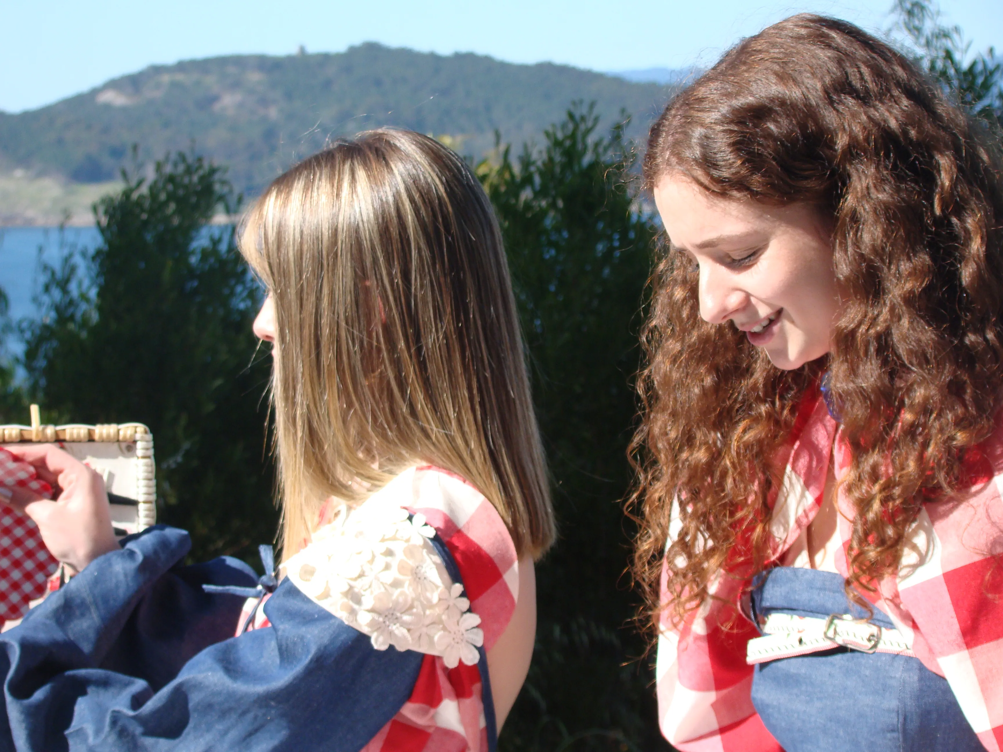 Fotografia del catálogo